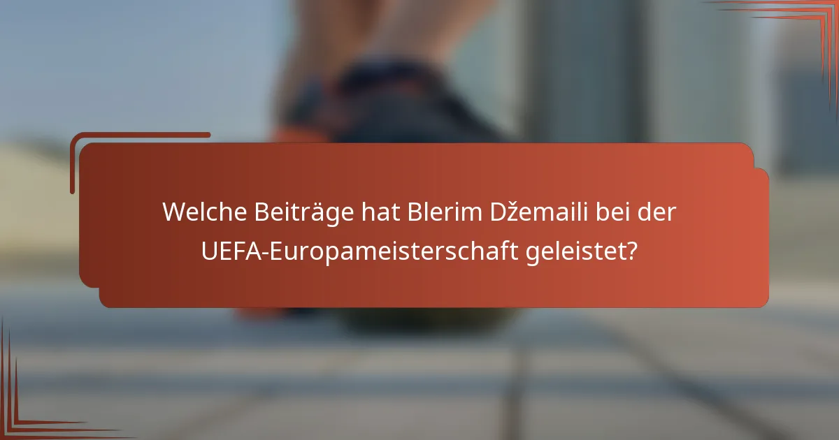 Welche Beiträge hat Blerim Džemaili bei der UEFA-Europameisterschaft geleistet?