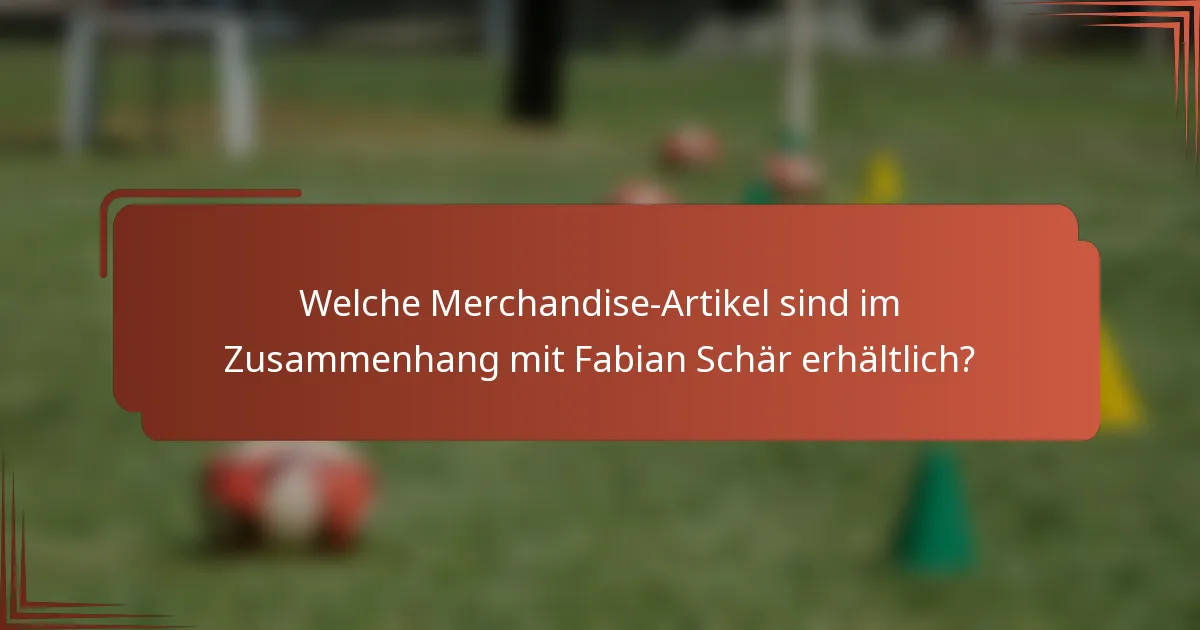Welche Merchandise-Artikel sind im Zusammenhang mit Fabian Schär erhältlich?